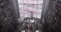 ����� �������� / Harmony [DVD]