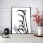 ����� �������� ��� ��������� - X-Ray Flowers