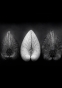 ������ ��� ��������� Black & White - ��� ������� / ������ �� �����