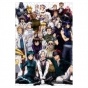 ���� D.Gray-man (������ A3, 252 ������) 66999
