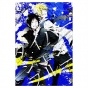 ���� Durarara!! (������ A3, 252 ������) 67040