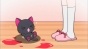 Nyanpire The Animation (��-������) HD