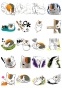 �������� Natsume Yuujinchou No.1