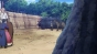 ������� ���� / Akatsuki no Yona [24 �� 24] TV (720p)