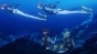 ����� ������� ��-2 / Amanchu! Advance [DVD]