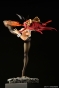 ������� FAIRY TAIL Erza Scarlet High Kick ver. Black Bunny 1/6 Complete Figure