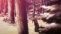 ����� ������� ���������� / Violet Evergarden [HD]