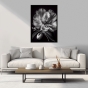 ����� �������� ��� ��������� - Black & White Flowers