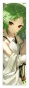 �������� ��� ���� Sylphiette / ������������ ������������