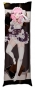 ���������� ��������� � �������� Honkai Impact - Elysia