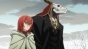 �����  ������� ������� / Mahou Tsukai no Yome TV [DVD]